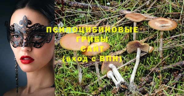 ALPHA PVP Дмитровск