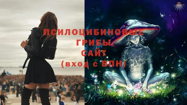 mdpv Дмитриев